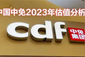 中国中免2023年预测估值分析 免税店龙头消费旅游复苏中免集团视频封面