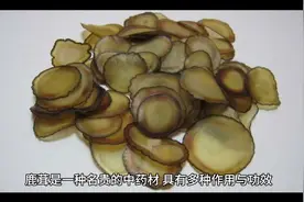 鹿茸的作用与功效视频封面