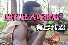 抓起猴脑就往嘴里炫，几斤小猴子也不放过，哈扎比人吃猴子真残忍