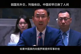 弱国无外交视频封面