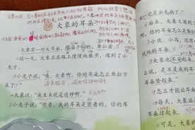 二年级语文下第十九课《大象的耳朵》课文讲解视频封面