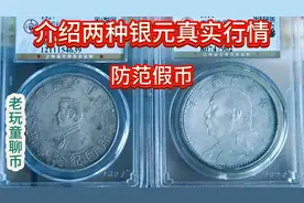 孙小头和袁大头银元的行情视频封面