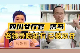 四川打虎！省经信厅女厅官周海琦落马！老领导陈新有已被双开！视频封面
