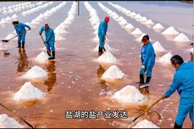 盐湖·青春之泽，发现未来的宝藏#七彩盐湖 #我为家乡代言视频封面