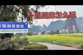 自驾游阳朔，免费停车场，十里画廊攻略，住在看日出最美的地方视频封面