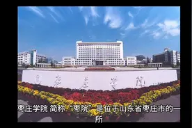 山东枣庄学院（公办本科）