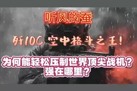 听风的蚕早就说过歼10c的厉害之处了，只是没人相信！ #巴印冲突视频封面