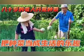 八十岁的老人开荒种菜，把种菜当成生活的乐趣视频封面