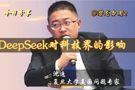 沈逸：专访对话，DeepSeek出现震撼科技界视频封面