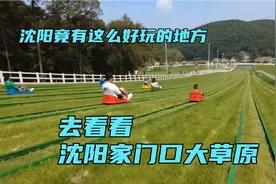 沈阳东北亚云端草原，沈阳家门口的大草原，竟有这么多好玩的视频封面