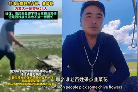 内蒙非法采韭菜花24人被抓，有人问龙哥是不是也被抓了，怎么回事视频封面
