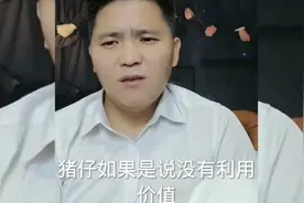 猪仔狗推的生活。视频封面