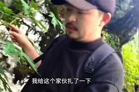 哀牢山博主探秘云南西藏缅甸三界交汇处视频封面