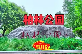 柏林公园（石家庄市）视频封面