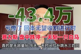 亏惨了 回本无望 收割进行时 赛力斯 盘中跌停 一天斩一只白马