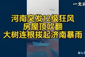 河南狂风12级，屋顶吹翻，大树连根拔起济南暴雨来袭！视频封面