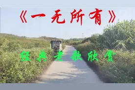 伤感老情歌《一无所有》
