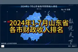 2024年1-7月山东省各市财政收入视频封面