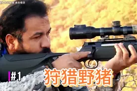 印度阿三户外狩猎野猪精彩瞬间#国外合法狩猎#国内请勿模仿#视频封面