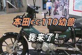售价感人，可盐可甜的小幼兽，本田CC110幼兽小弯梁视频封面