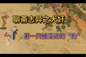 聊斋志异之犬奸     （傻狗和女主人之间毁三观的故事）视频封面