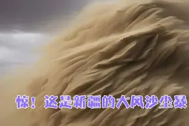惊！这是新疆的大风沙尘暴视频封面