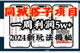 2个人，卖搭子社群，一周变现5万+！24年全新蓝海玩法揭秘
