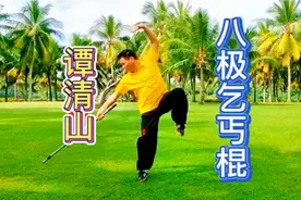 谭清山会长这《八极乞丐棍》打得精彩！