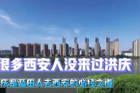 西安洪庆发展迅猛，不知道当年向阳公司为何搬离蓝田，太可惜视频封面