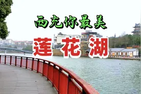 南充市西充莲花湖，风景优美，空气清新，是市民休闲娱乐的好去处视频封面