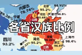 各省汉族人口比例排名，你的家乡是多少？