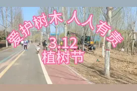 3.12植树节：爱护树木，人人有责！视频封面