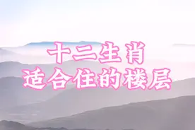 十二生肖适合住的楼层视频封面