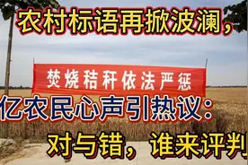 农村标语再掀波澜，9亿农民心声引热议：对与错，谁来评判？视频封面