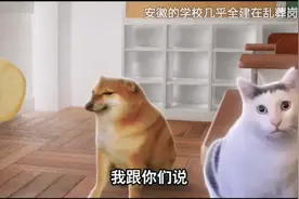 学校的流言蜚语视频封面