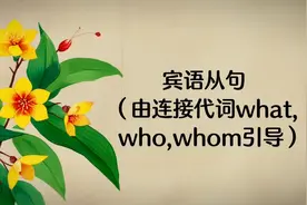 宾语从句（由连接代词what,who,whom,which,whose引导）