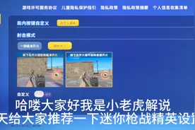 迷你枪战精英设置