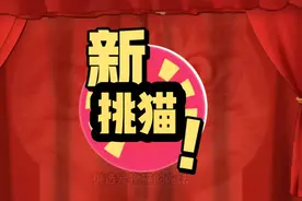 挑猫的方法