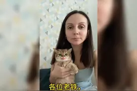 tiktok上的沙雕滤镜被老外玩疯了视频封面