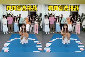 狗狗盲选挑战，哈哈太搞笑了视频封面