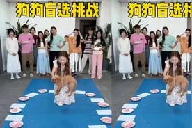 狗狗盲选挑战，哈哈太搞笑了视频封面