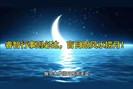 睿智行事则必达，盲目跟风水捞月！视频封面