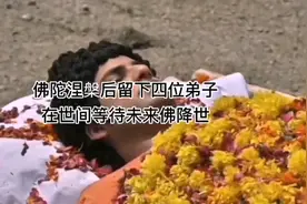 释迦摩尼佛涅槃后至今留在这世上的弟子在干啥的？视频封面