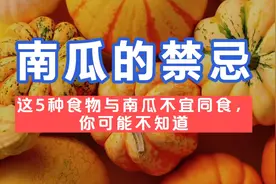 【美食】南瓜的禁忌：这5种食物与南瓜不宜同食，你可能不知道