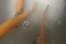 看上了可加我地球号：Wu_0599