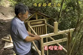 保姆级吊脚楼式鸡舍搭建过程，美观实用，看完你也是荒野建造师视频封面
