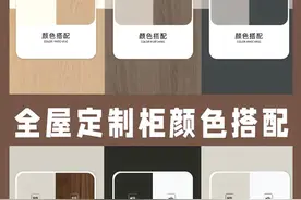 全屋定制柜颜色最强搭配视频封面