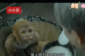 男人养了一只猴子当亲儿子，没想到都改变了全家的命运视频封面