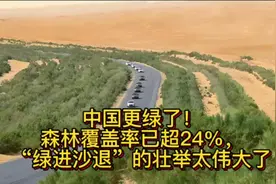 中国更绿了！森林覆盖率已超24%，“绿进沙退”的壮举太伟大了视频封面