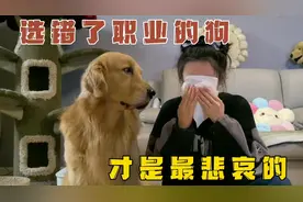 原来选错了职业的狗子才是最悲哀的！